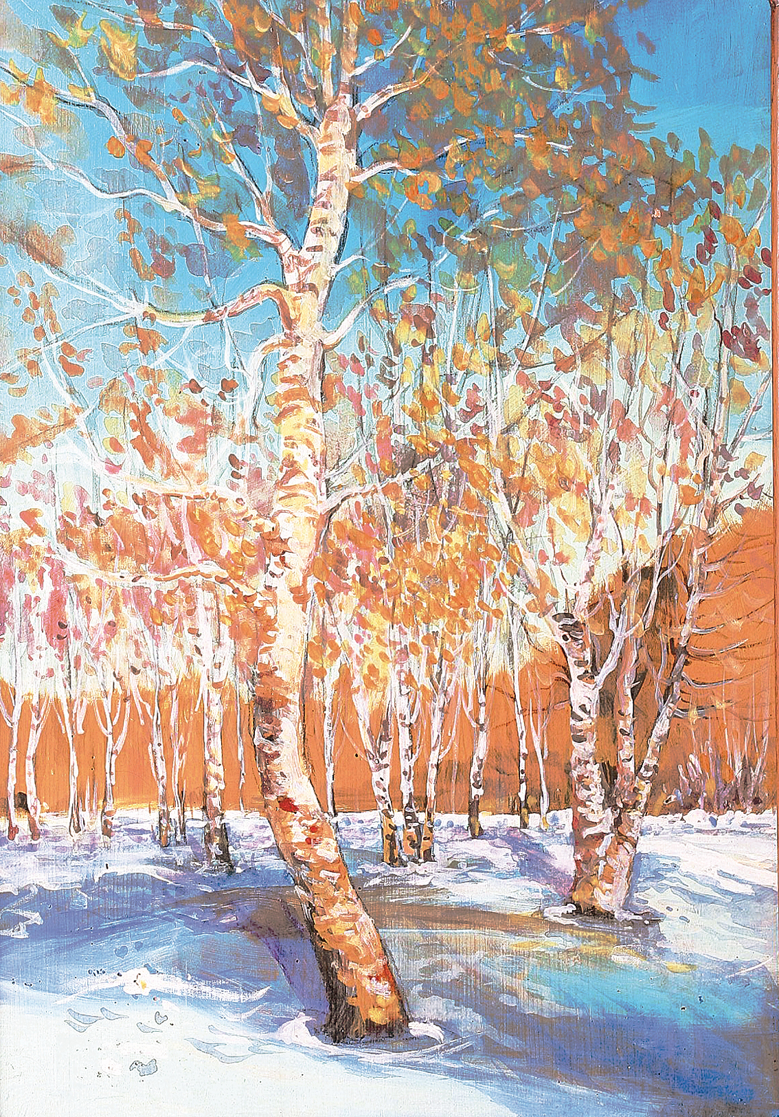 A small birch forest