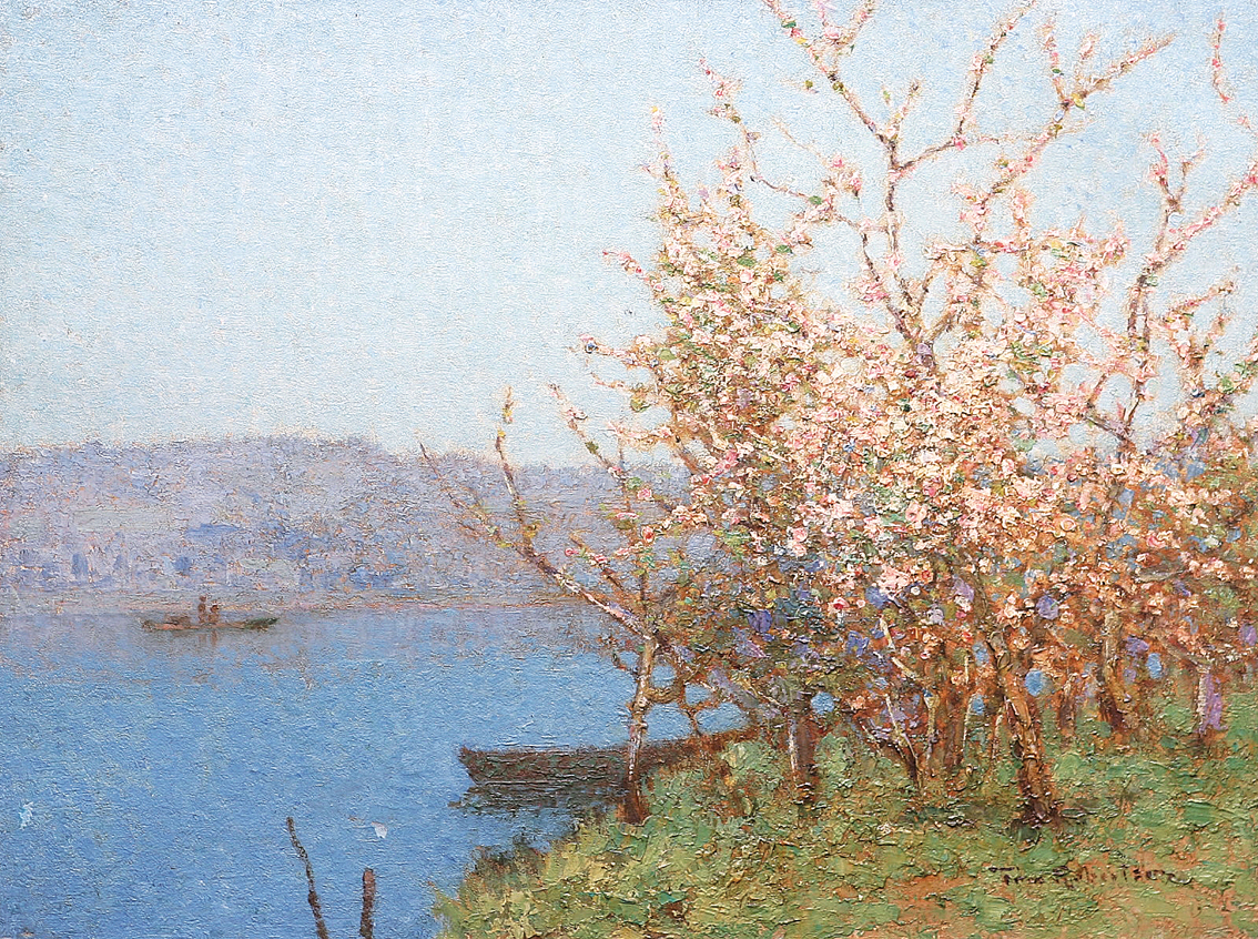 Cherry blossom on the Loire