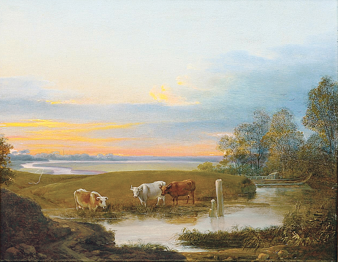 Cows at the water in a wide landscape