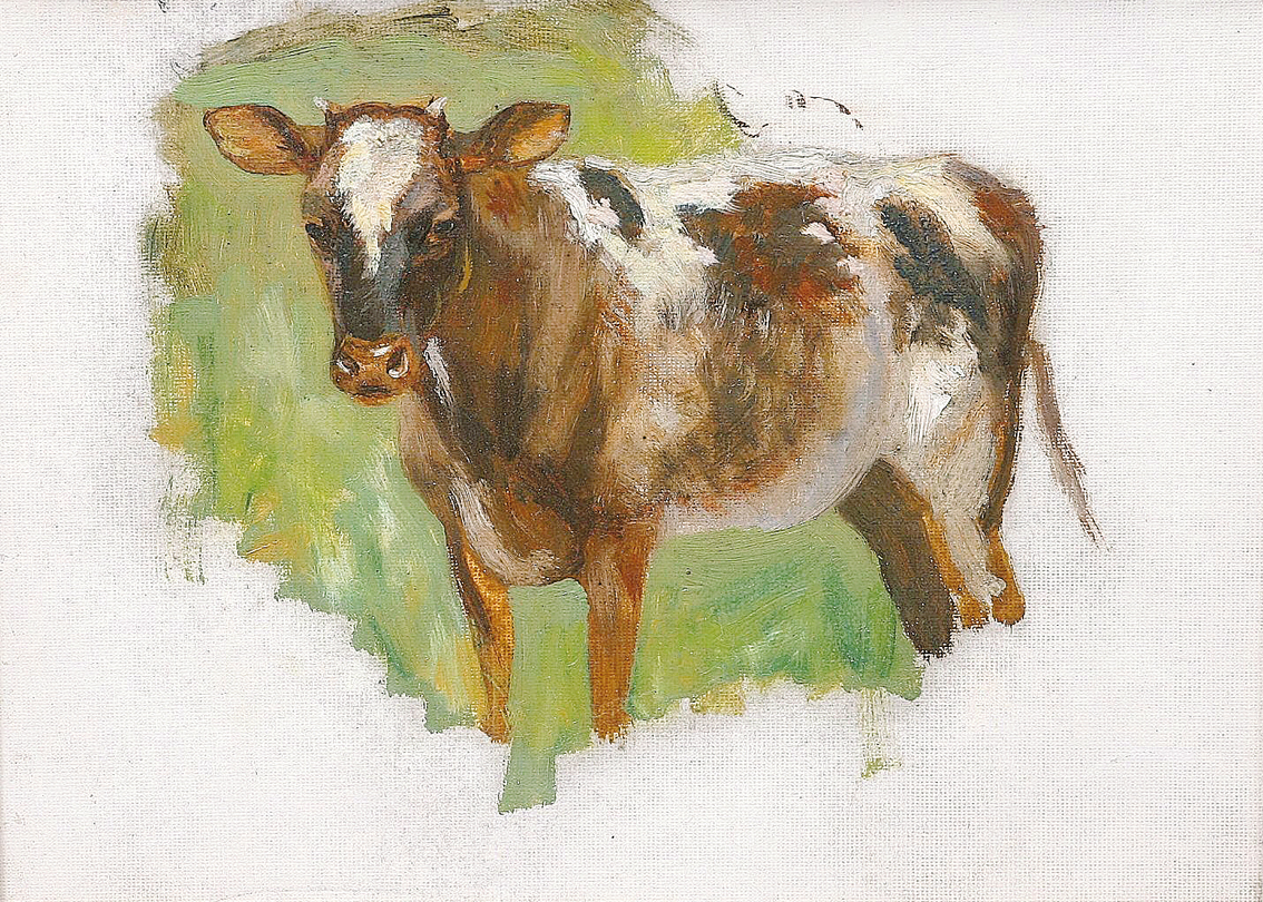 An oil study of a cow