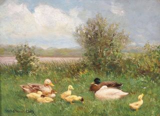 Entenfamilie am Ufer eines Teichs