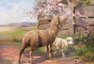 Schaf und Lamm am Kirschbaum