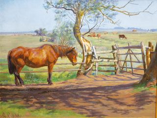 Agnes Lunn - A horse in the midday sun A horse in the midday sun