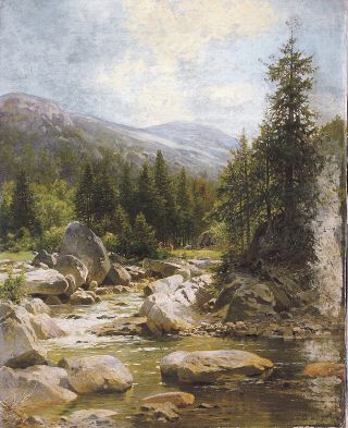 'View of the Oker vale' (Harz)