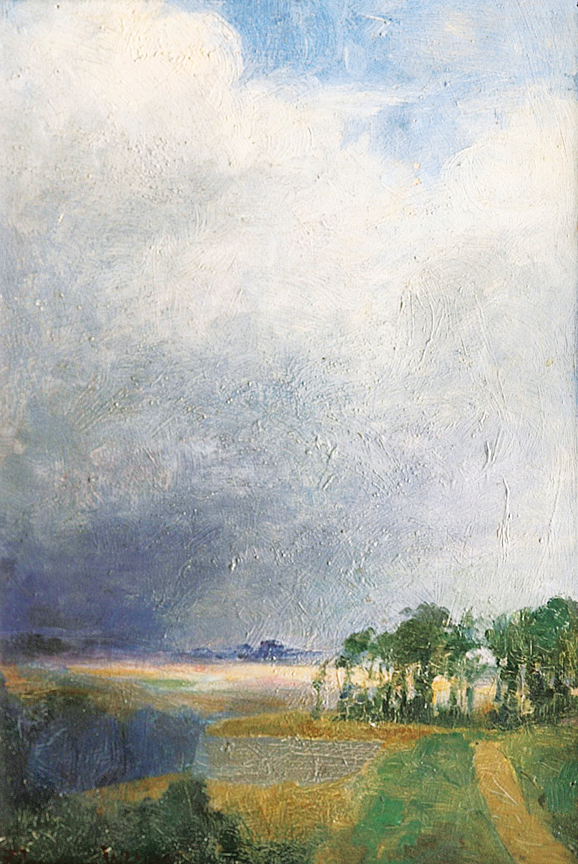 A summer landscape in an upcoming storm