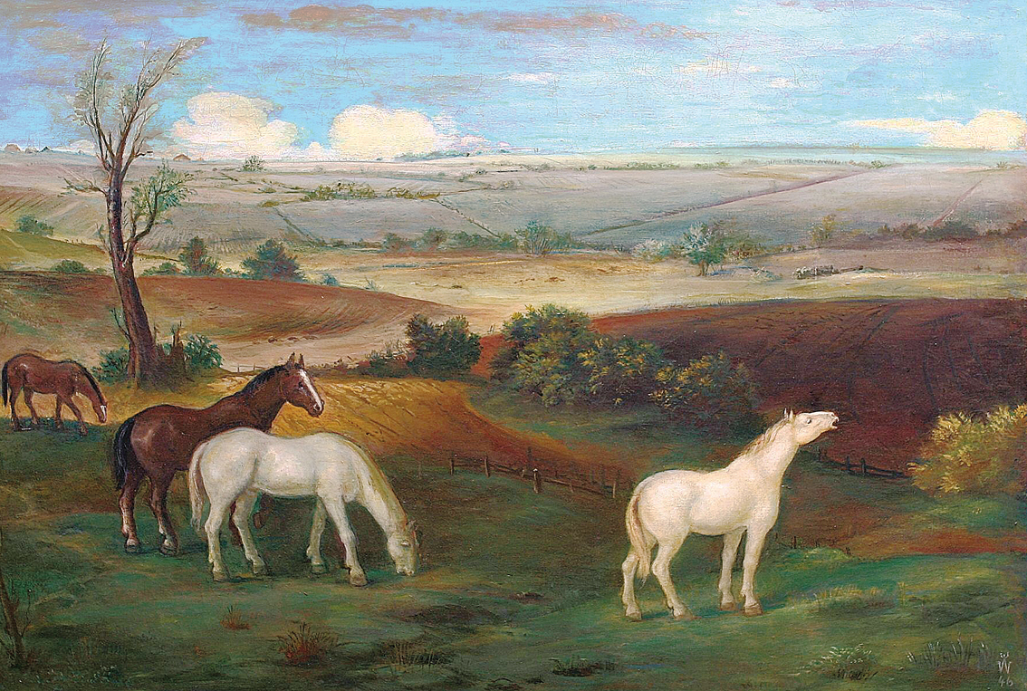 Weite Landschaft mit weidenden Pferden
