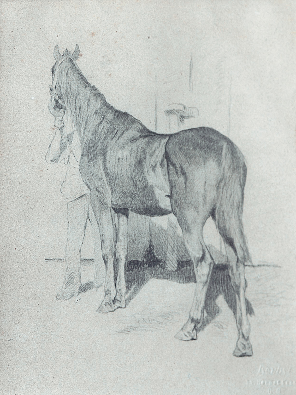 A horse and its owner