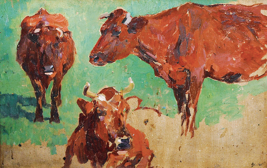 Studies of cows