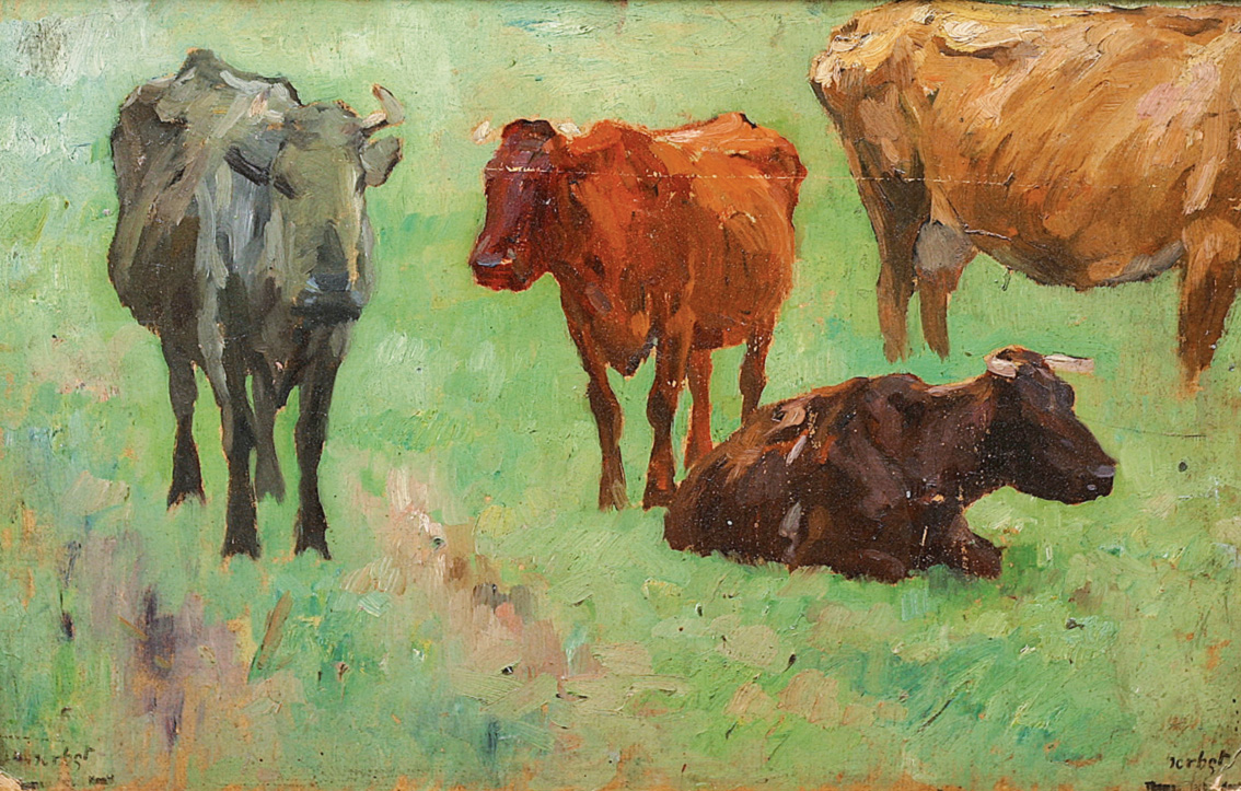 Studies of cows