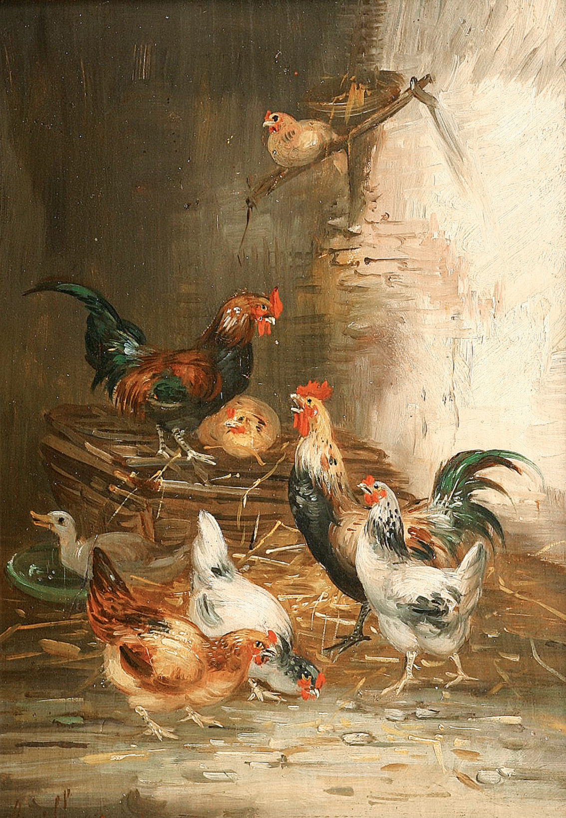 A poultry farm