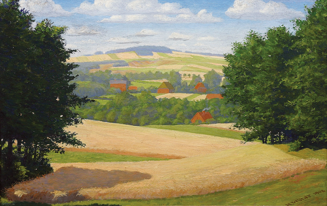 A hilly landscape in summer