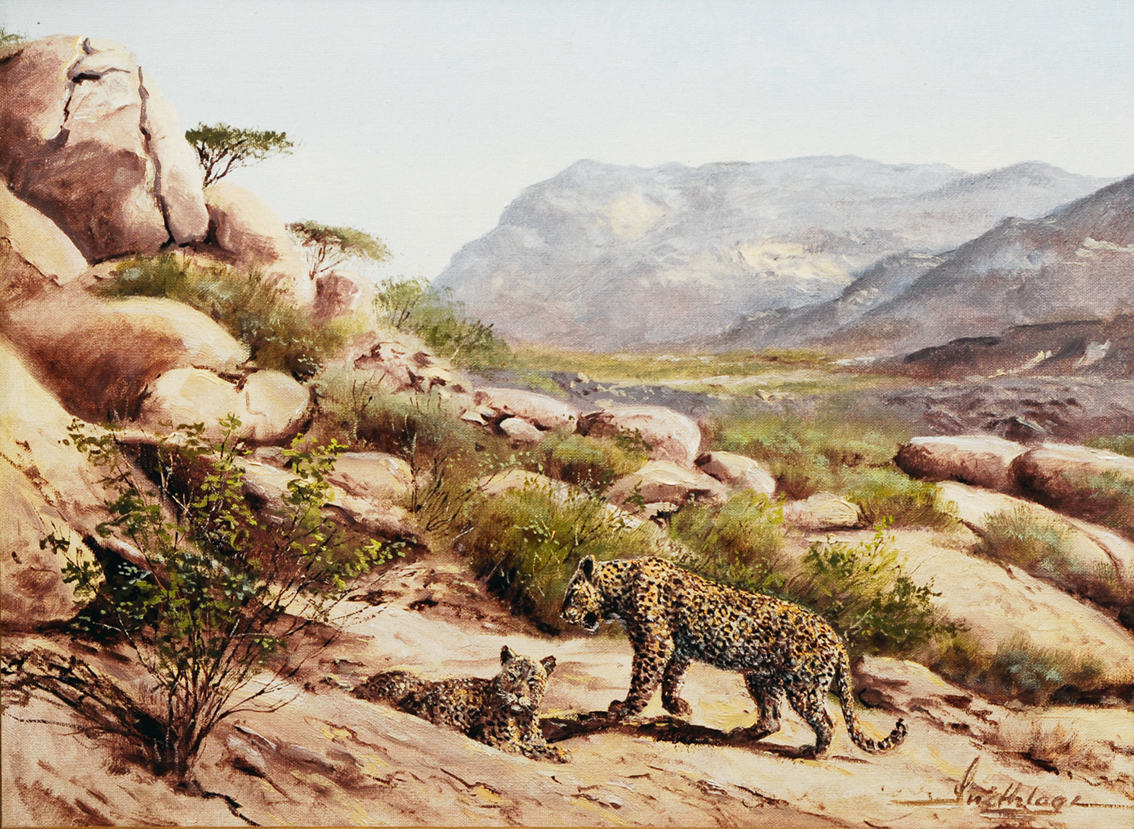 Leopards in the mountains