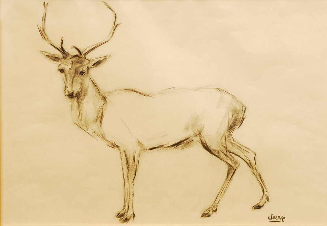 A stag
