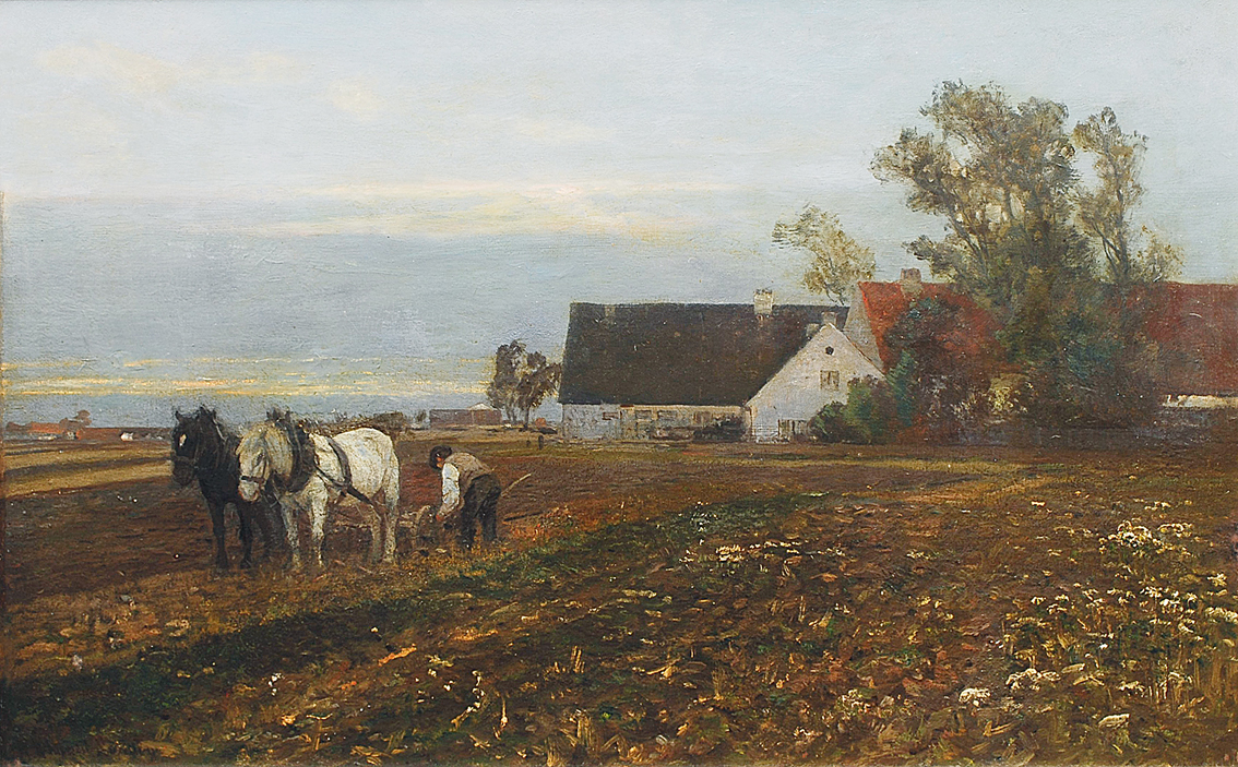 A Farm in Evening Light