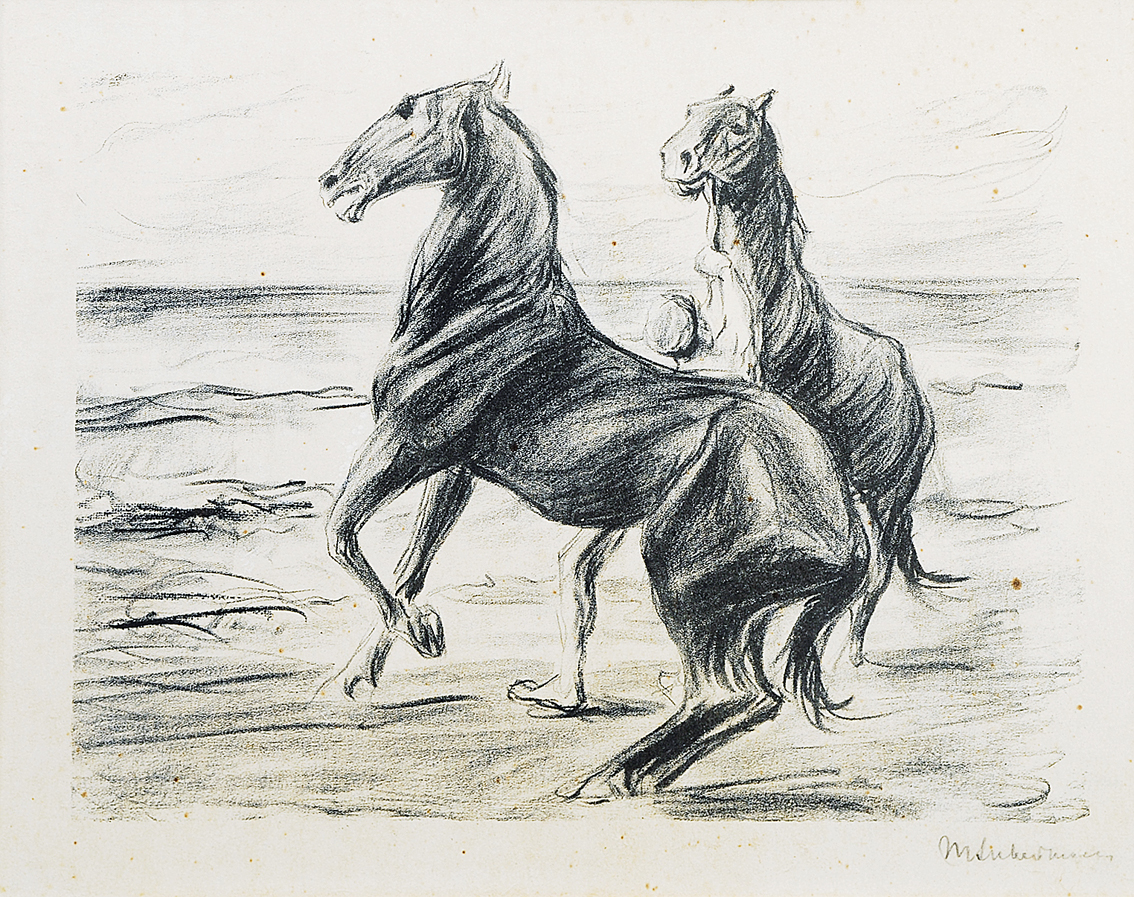 Aufsteigende Pferde am Strand