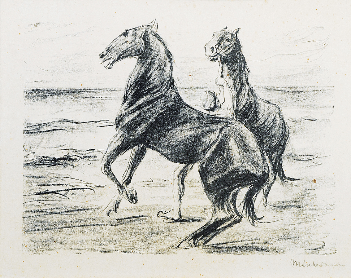 Horses on the beach