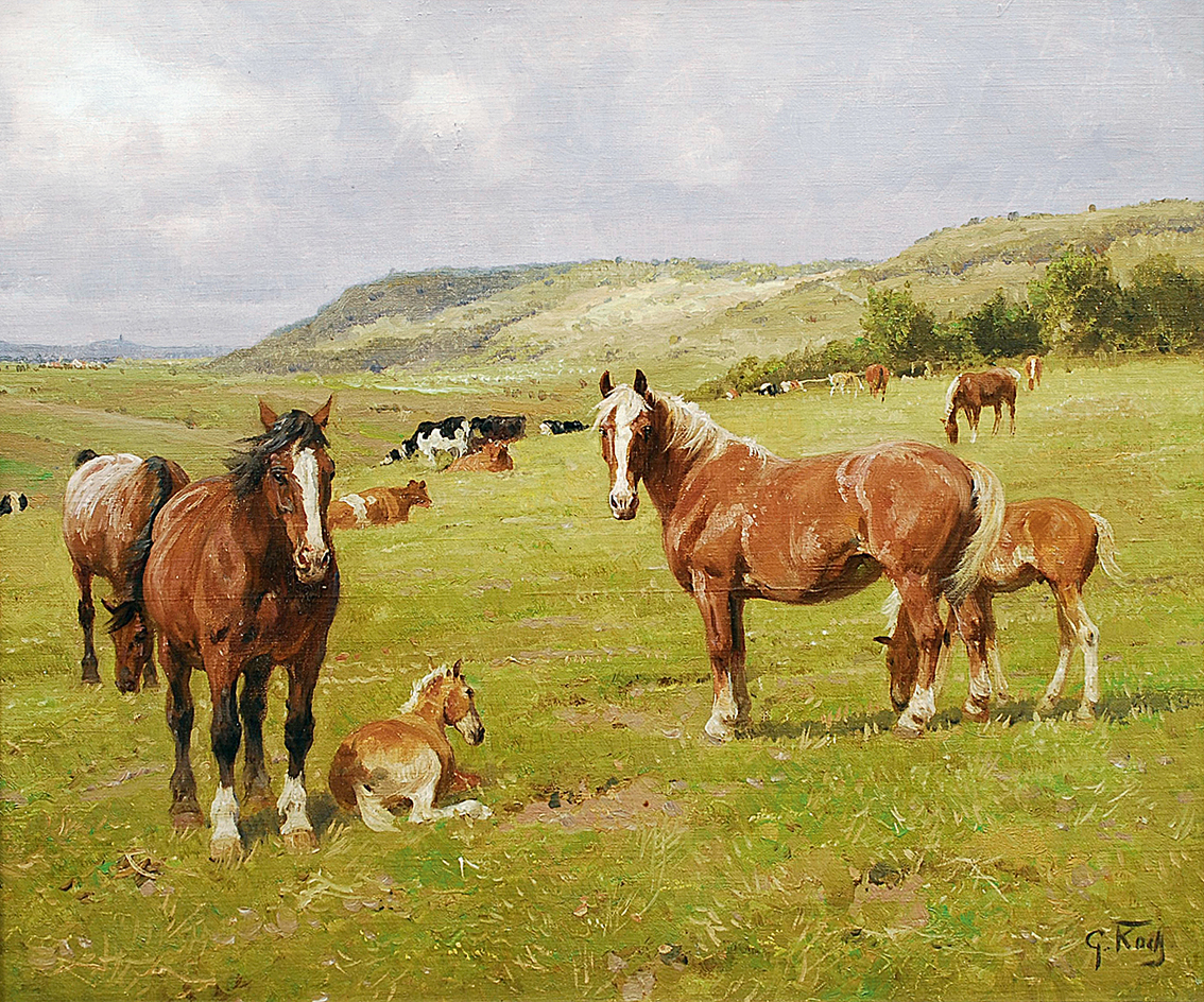 Horses