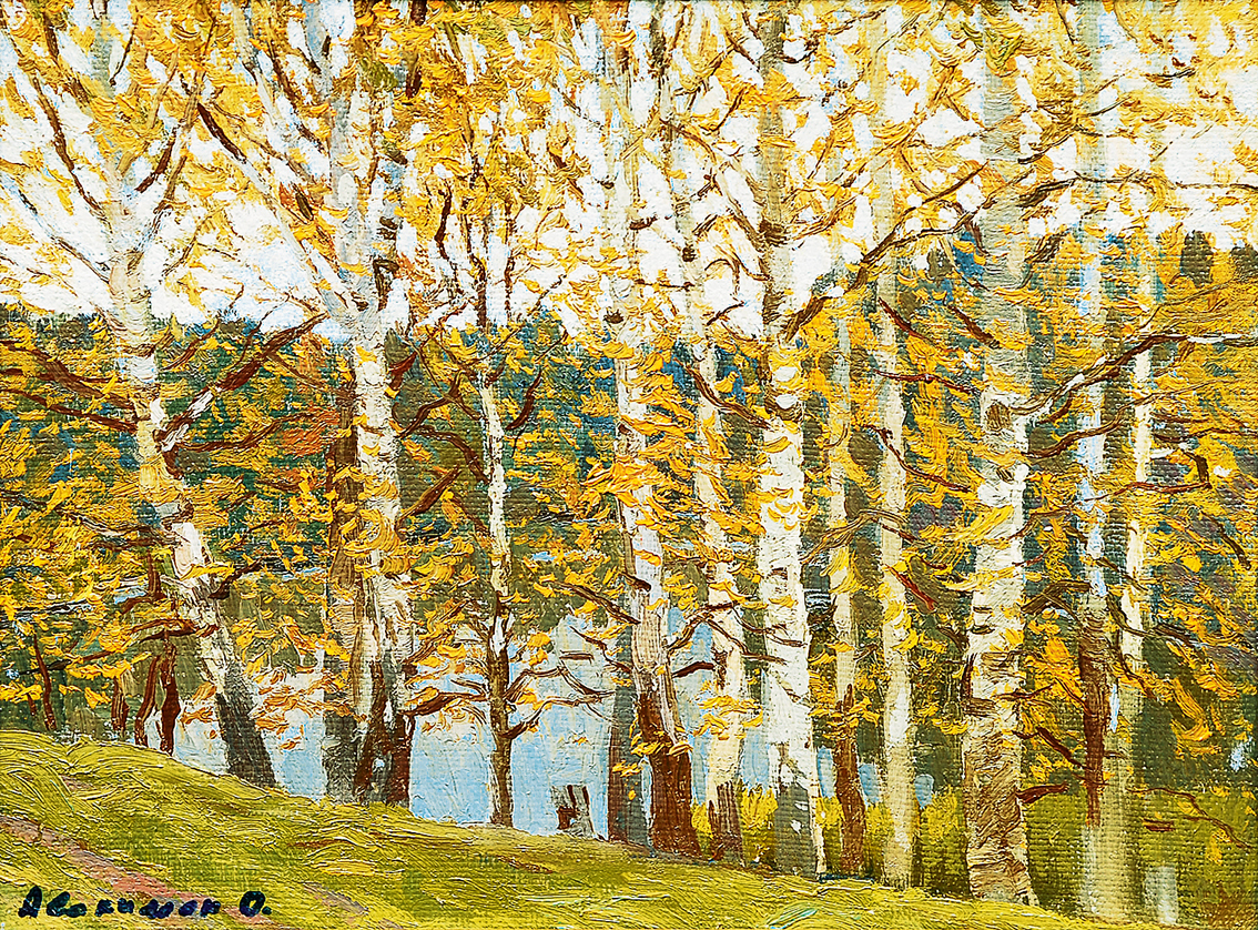 A birch forest on the river Msta