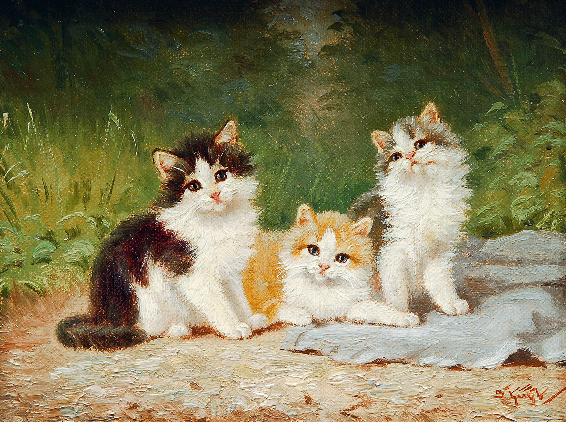 Drei Katzen