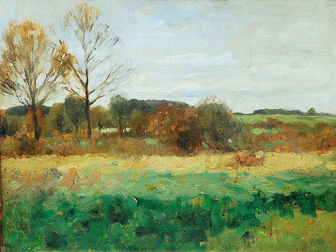 A landscape with trees