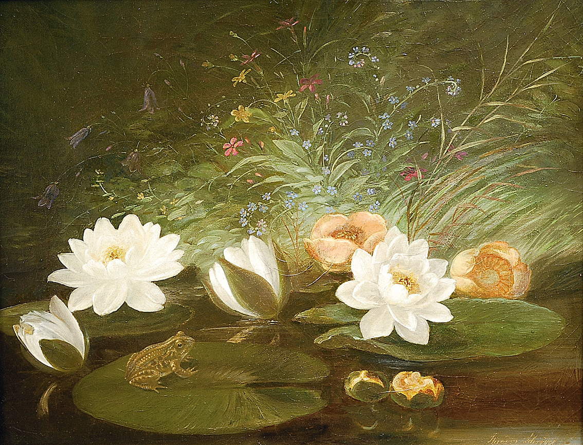 Water lilies with a frog