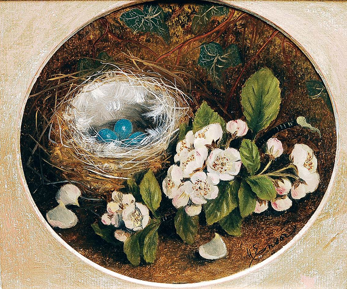 A bird's nest with flowers