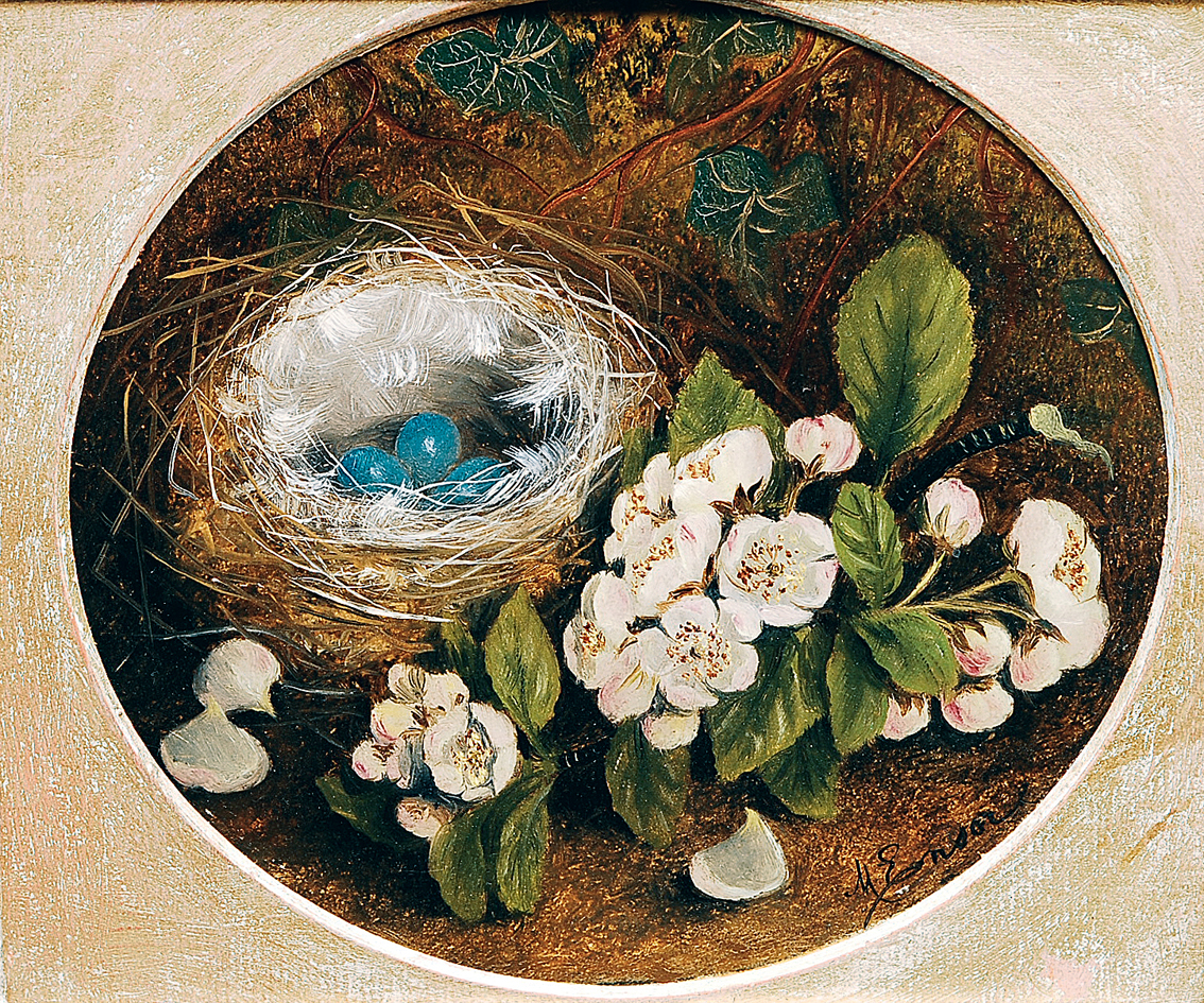 Vogelnest mit Blumen