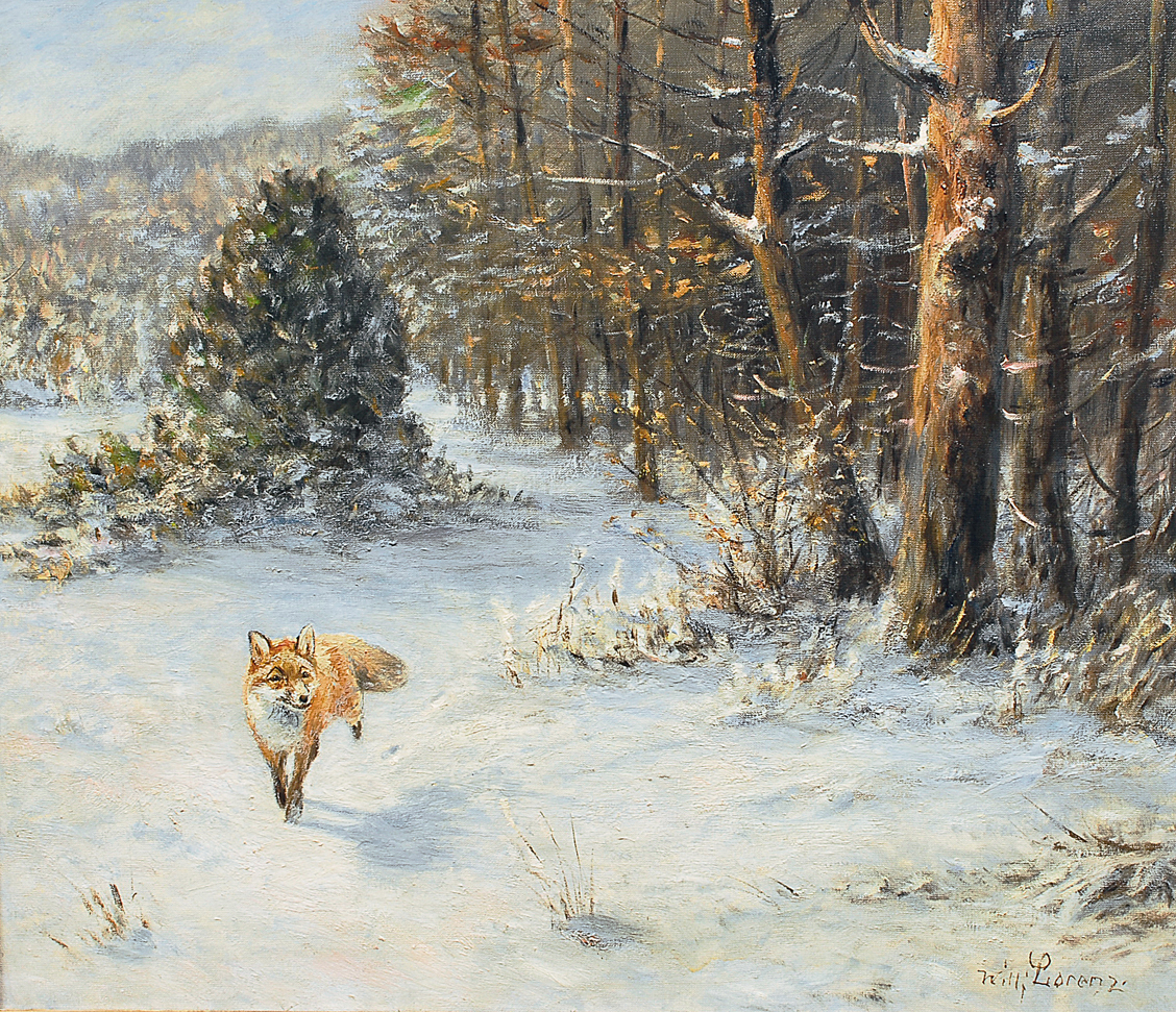 A fox at the edge of the forest