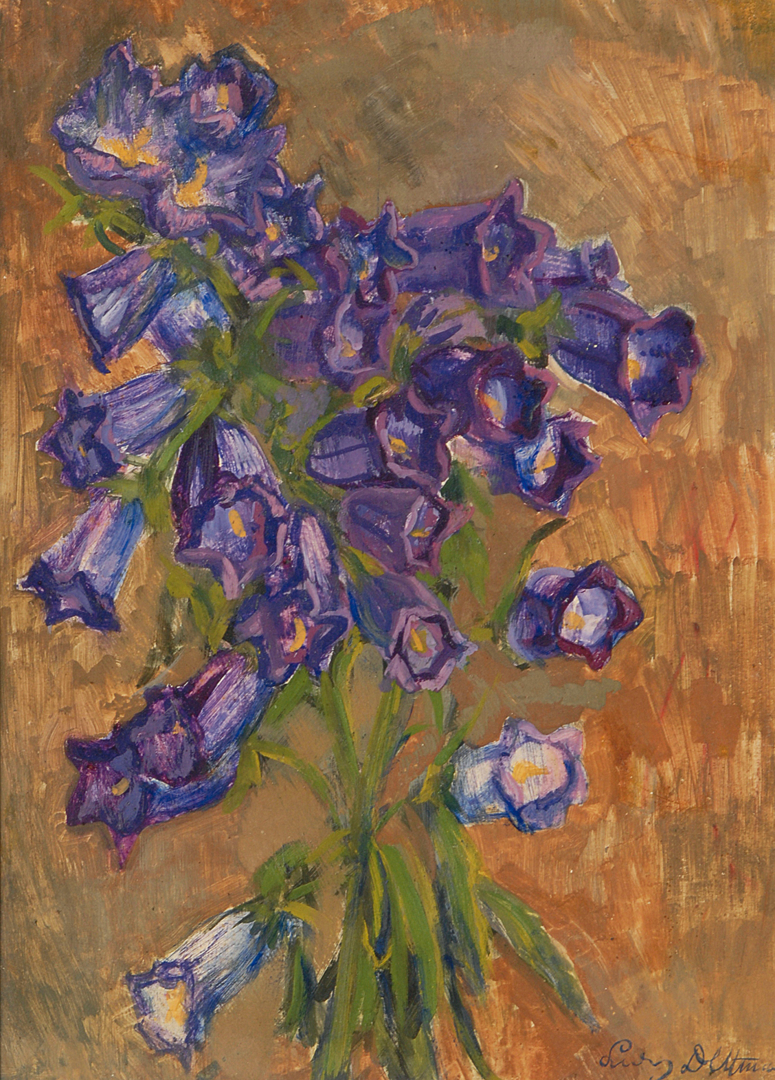 Delphinium