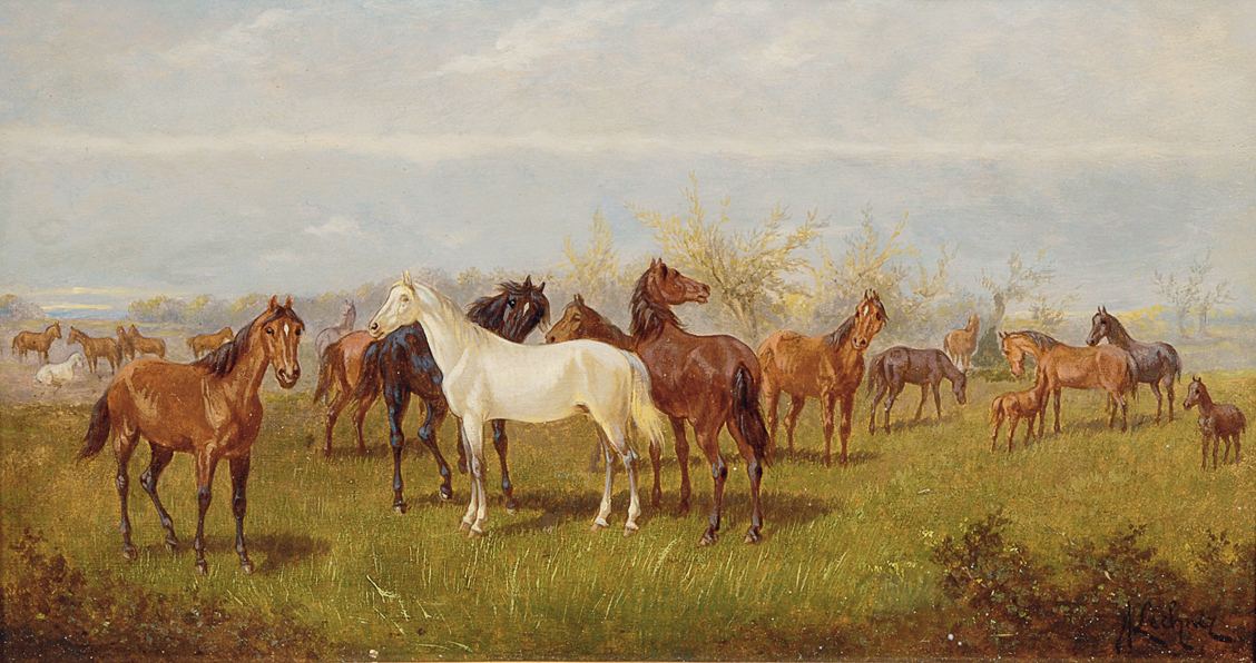 Horses