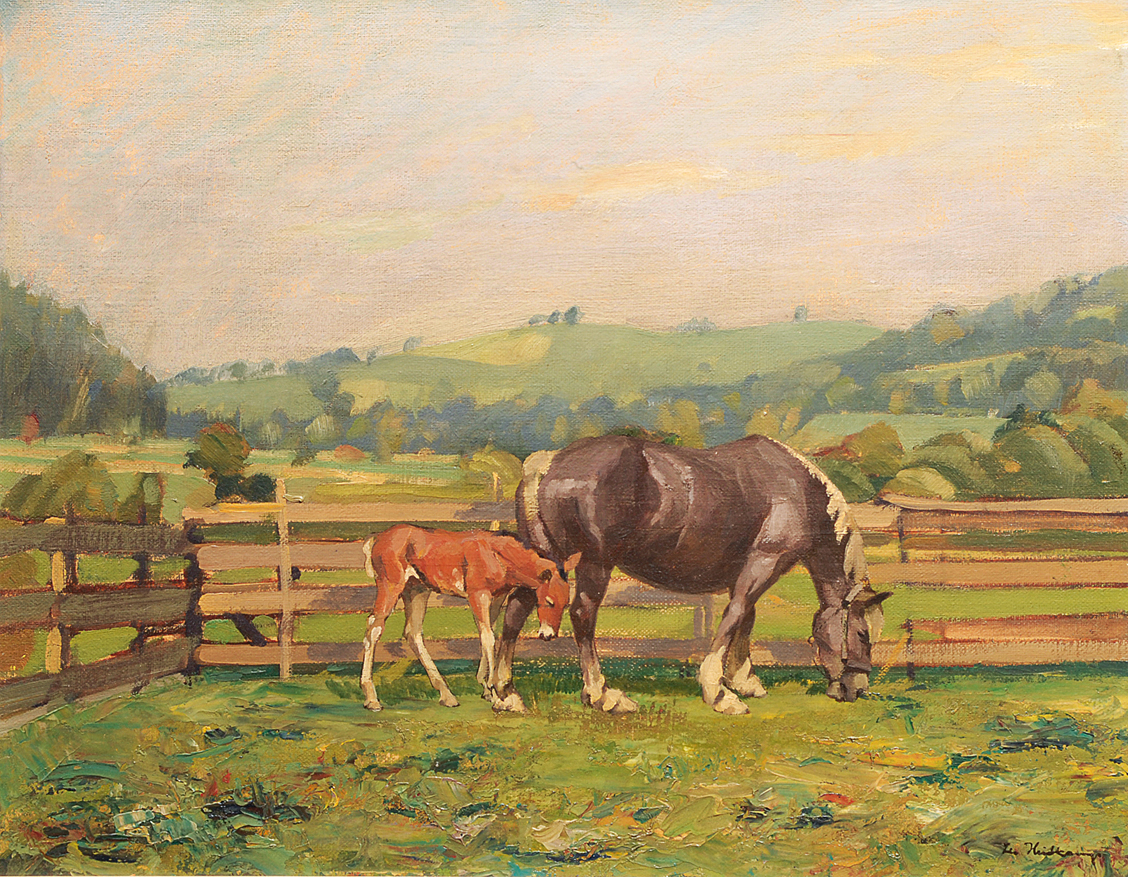 A mare and a foal