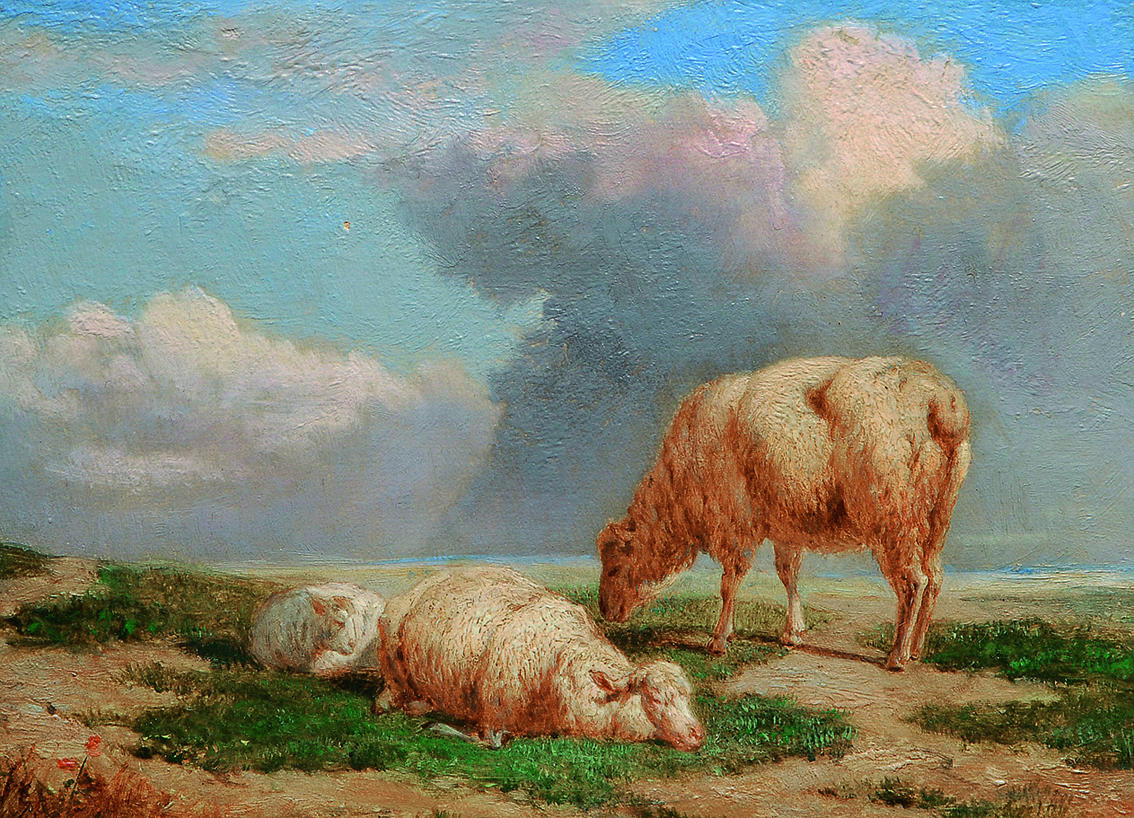 Three sheep in a wide landscape