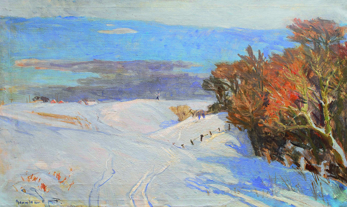 A winter landscape near Arslev