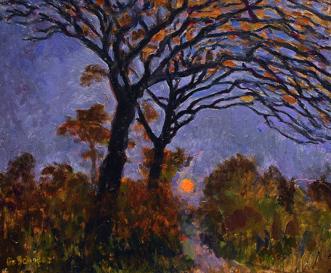 A group of trees in the moonlight