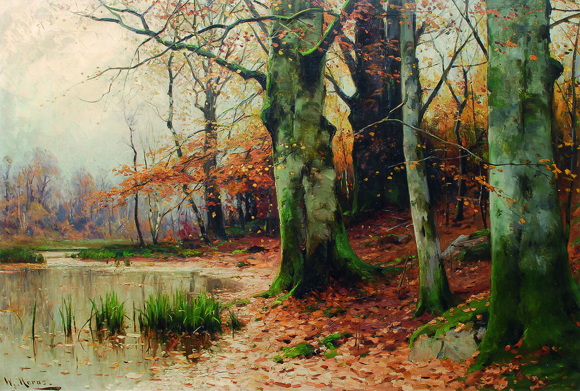 A forest in autumn