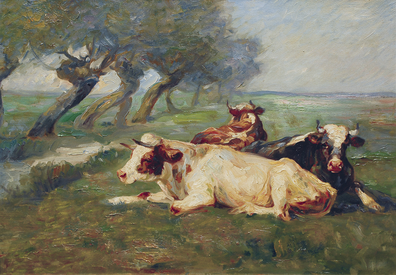 Cows on the Meadow