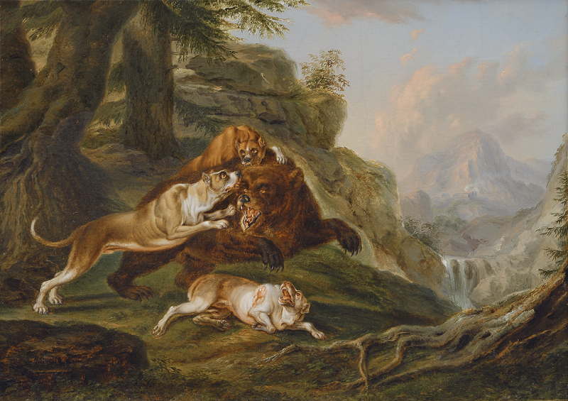 Boarhounds attacking a Bear