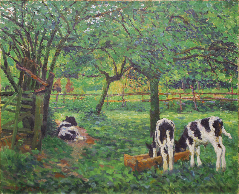 Calves in the orchard