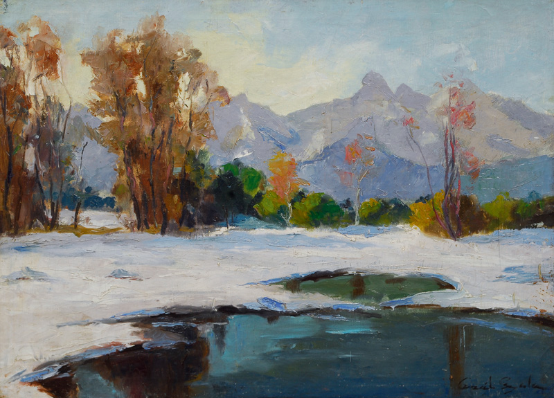 Winterlandscape with the Alps