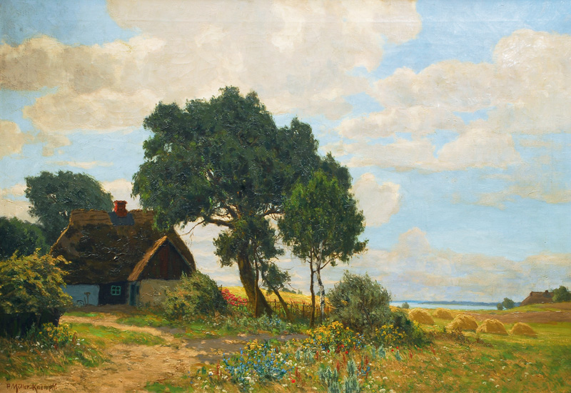 A summerday at the Bodden