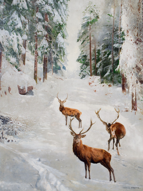 Winterliche Waldlichtung mit Hirschen