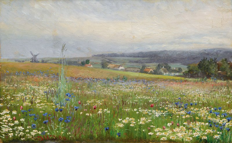 Flowering Meadow