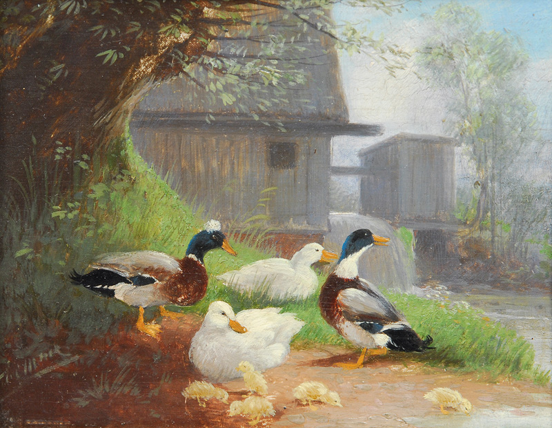 Ducks on the brookside