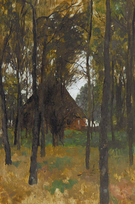 A house between trees
