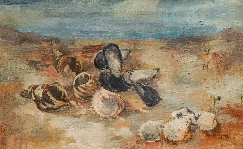 Shells on the beach