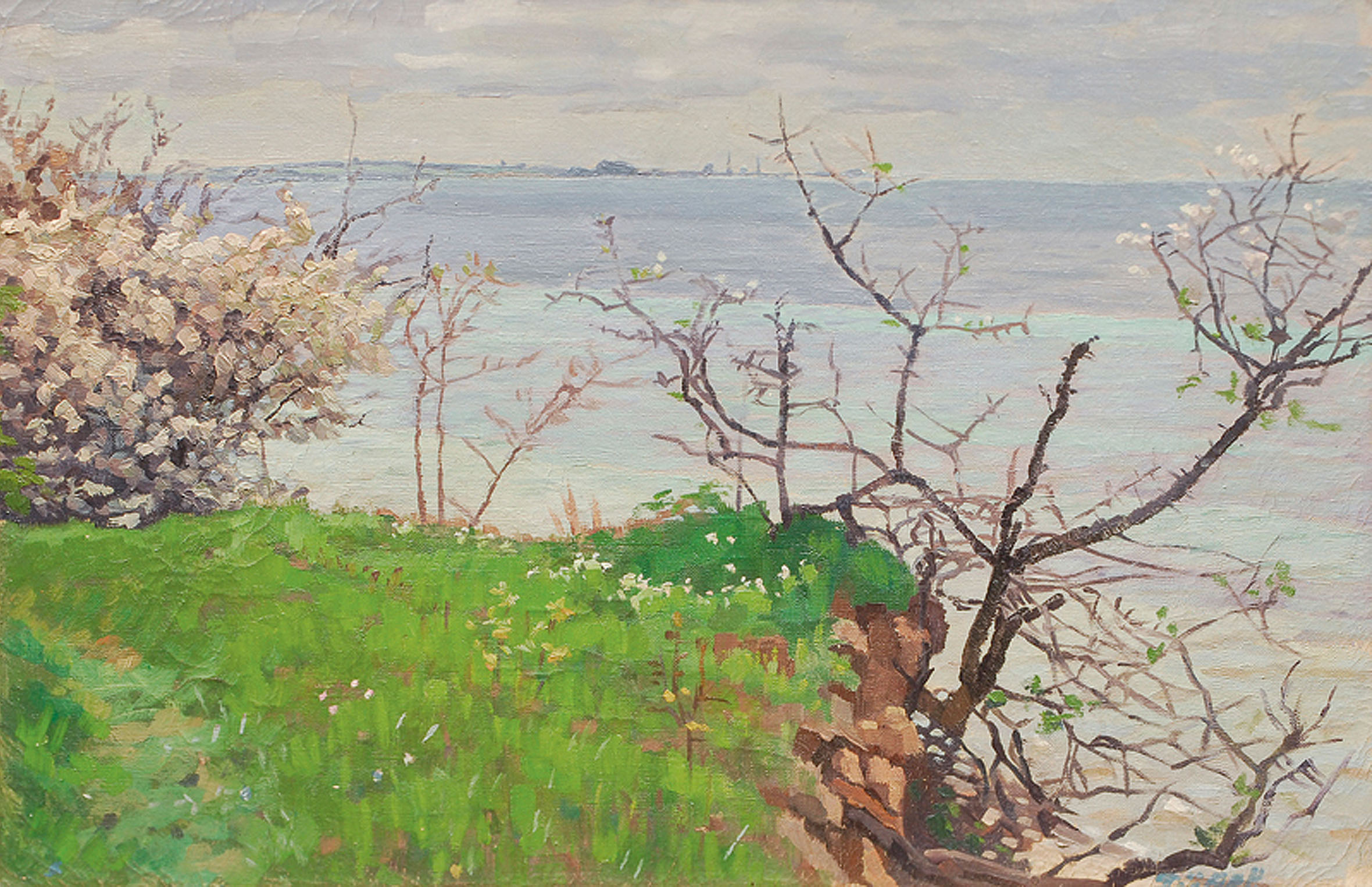 Blooming apple trees at the Baltic Sea