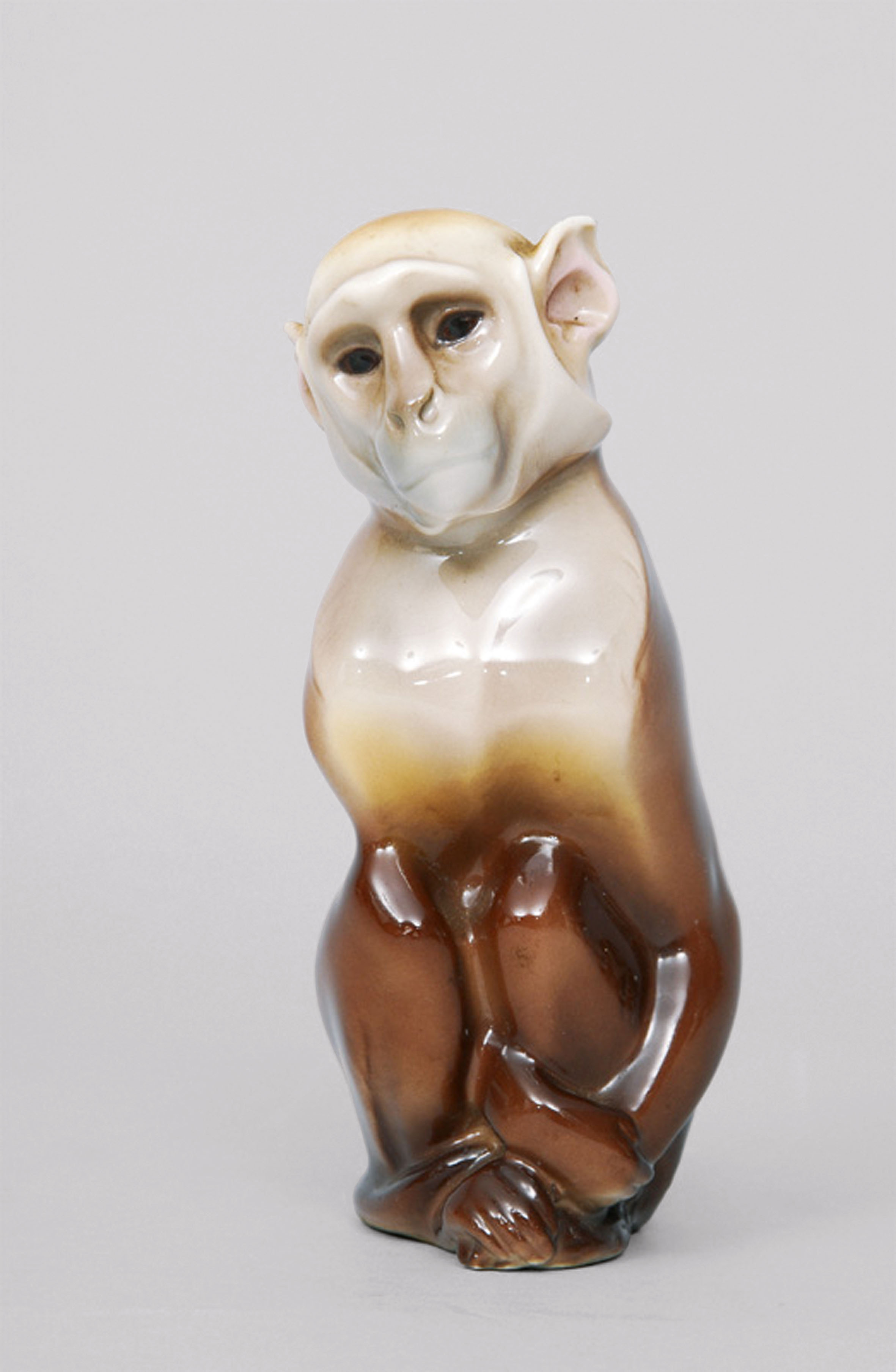 A small seated monkey