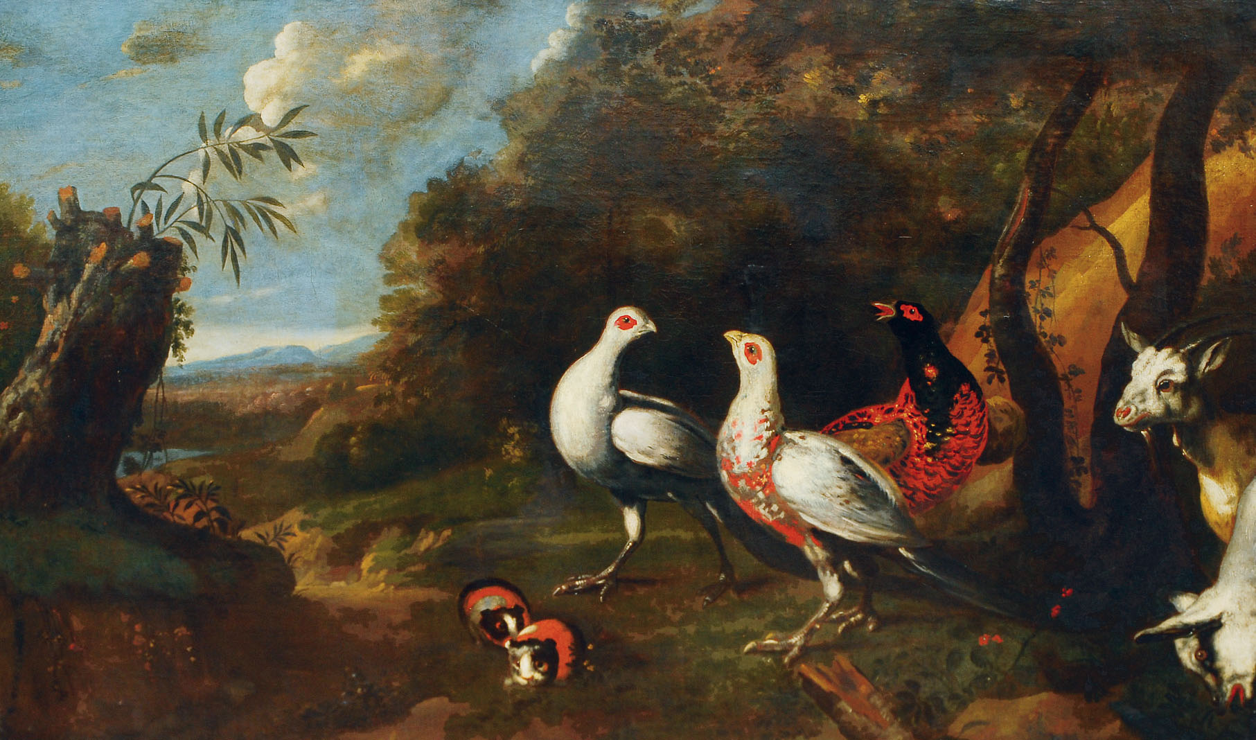 Pheasants and guinea pigs in a landscape