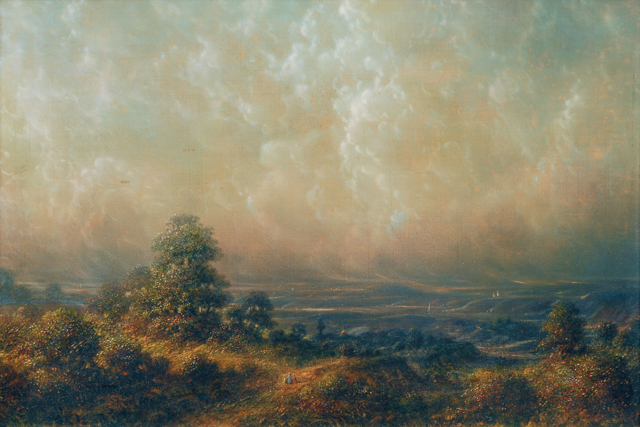 Evening landscape