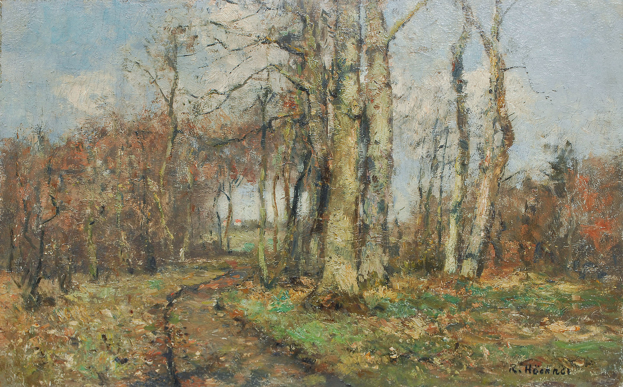 A forest track